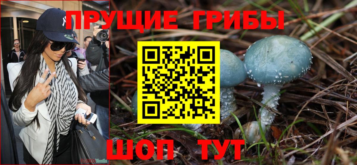 Ивантеевка  закладка  Вход с VPN  Псилоцибиновые грибы прущие грибы 