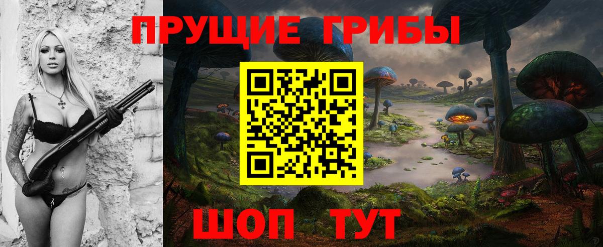 Псилоцибиновые грибы GOLDEN TEACHER Ивантеевка